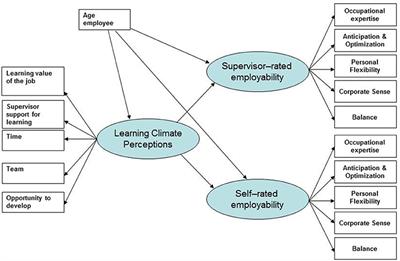 Learning Climate Perceptions as a Determinant of Employability: An Empirical Study Among European ICT Professionals